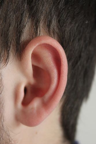 ear