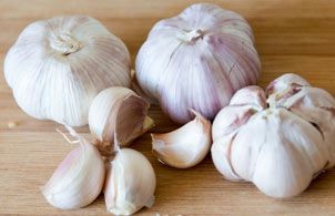 Garlic