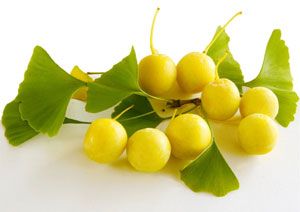 Gingko Biloba for Erectile Dysfunction