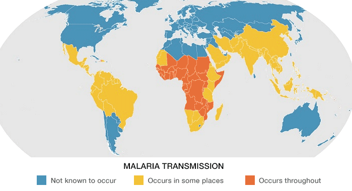 malaria risk map